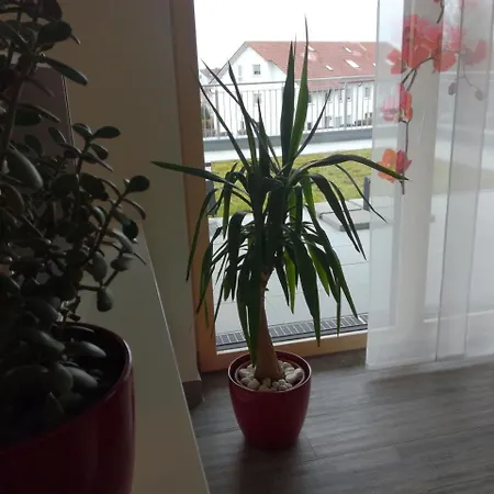 Panorama-appartement Διαμέρισμα *